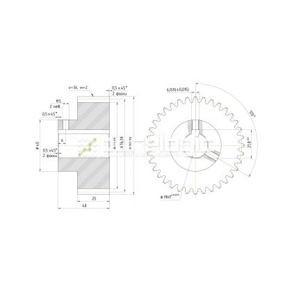 Шестерня косозубая GH2-T36D19 фото