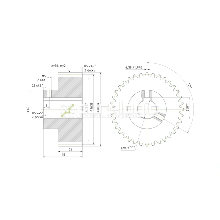Шестерня косозубая GH2-T36D19 фото