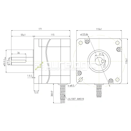 Двигатель шаговый PL110H115-D19 фото