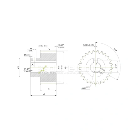 Шестерня прямозубая GS2-T25D16 фото