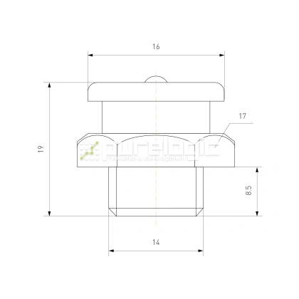 Пресс-масленка CFM14x1.5 113 Пресс-масленка CFM14x1.5 фото