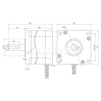 Двигатель шаговый PL130H283-D19 80 381 Двигатель шаговый PL130H283-D19 фото