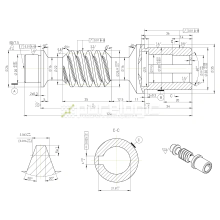 Червячный винт W5020-19 фото