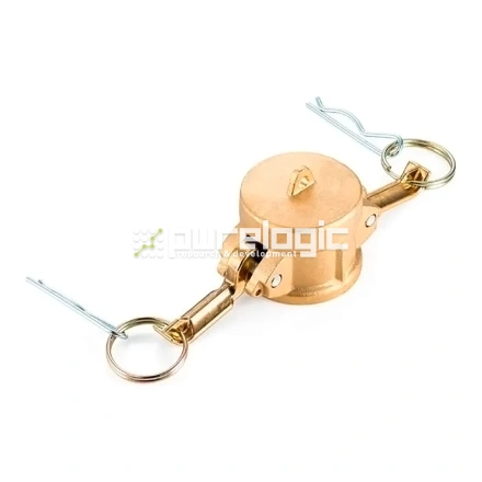 Камлок латунный PL500DCBR фото