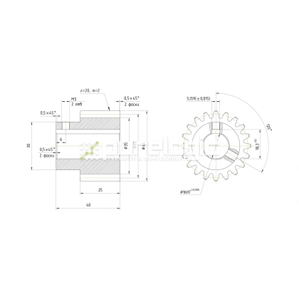 Шестерня прямозубая GS2-T20D16 970 Шестерня прямозубая GS2-T20D16 фото
