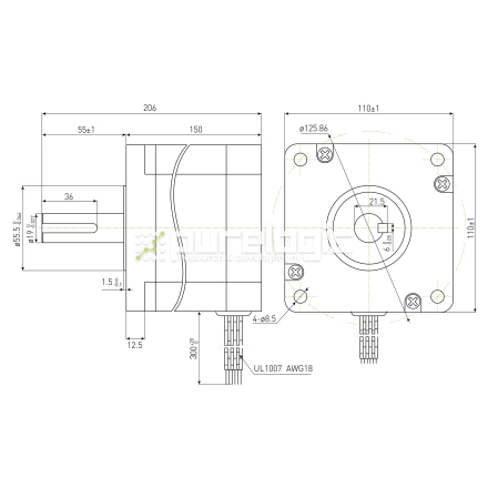Двигатель шаговый PL110H150-D19 фото