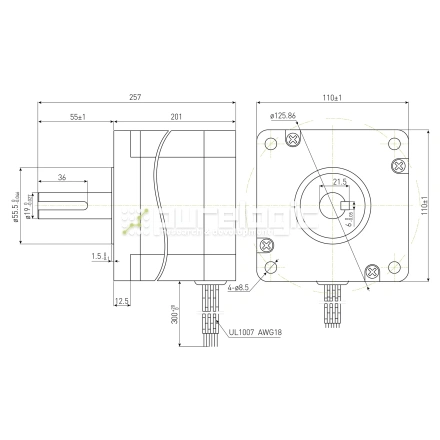 Двигатель шаговый PL110H201-D19 фото