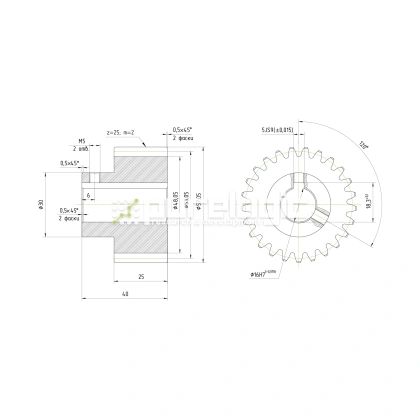 Шестерня косозубая GH2-T25D16 фото